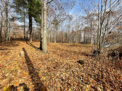 443 S Branch Rd, Coudersport, PA 16915 - photo 3