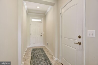 43349 Polenta Terrace, Chantilly, VA 20152 - photo 5