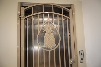 ELEVATOR W/CUSTOM GATE