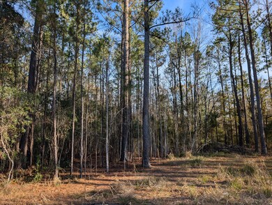 0 Breakwater Loop unit 25764630, Kingsland, GA 31548 - photo 4