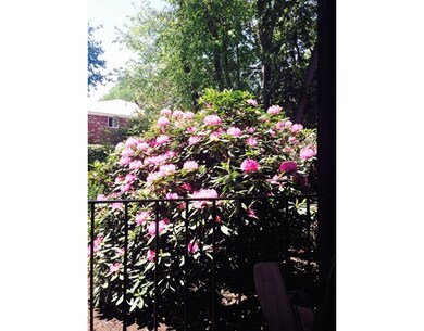 66 Fountain Ln unit 14, South Weymouth, MA 02190 - photo 6