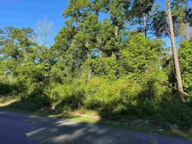 0 Old Bethel Rd, Crawfordville, FL 32327 - photo 4