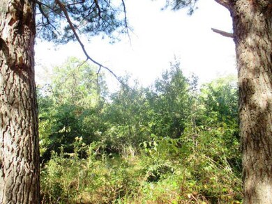 There is a fence on back boundary.