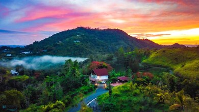 Km 2.0 Carr 173, Cidra, PR 00966 - photo 3