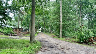 Driveway out to Wells Mill Road