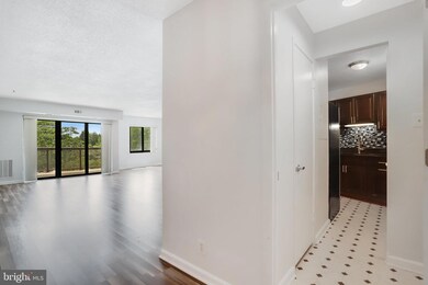 203 Yoakum Pkwy unit 214, Alexandria, VA 22304 - photo 4