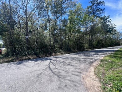 TBD Woodlane A Block 2 Lot 10, Splendora, TX 77372 - photo 3