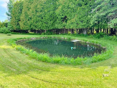 Pond