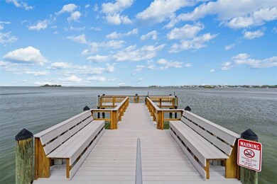 300 Woodette Dr unit 203D, Dunedin, FL 34698 - photo 5