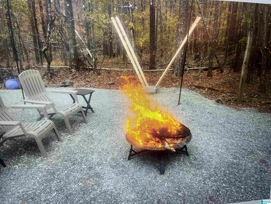 2370 Highway 32, Columbiana, AL 35114 - photo 6