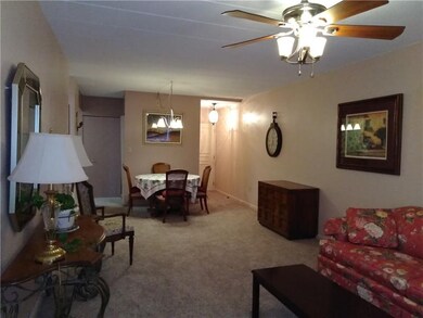 Dinning Area and Entry Hall