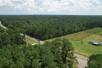 Bird's eye view with a rural view