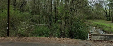 TBD Webster Dr, Henderson, TX 75652 - photo 2