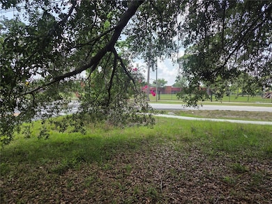 Beautiful Shady Oak in the Front
