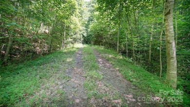 00 Dave Chester Rd, Lenoir, NC 28645 - photo 3