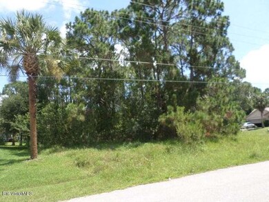 Lot View