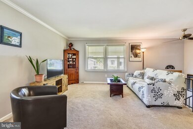 1176 Summit Dr, Annapolis, MD 21409 - photo 6