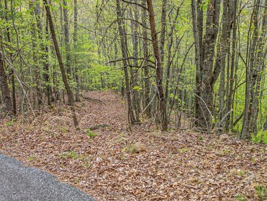 LOT 33 Mahoosec Trail, Mineral Bluff, GA 30559 - photo 3