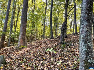 Lot A6 High Crest Ln unit A6, Nellysford, VA 22958 - photo 2