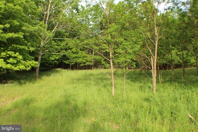 38.71ac Lower Timber Ridge Rd, Seneca Rocks, WV 26884 - photo 3