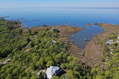 1909 Smugglers Cove Rd, St. George Island, FL 32328 - photo 5