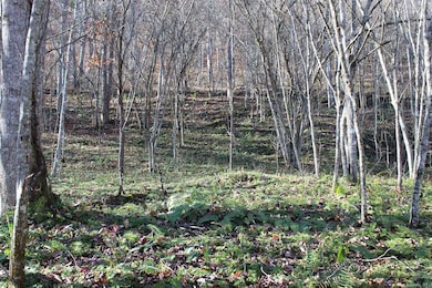 0 Middle Fork Greasy Creek Rd, Boons Camp, KY 41204 - photo 2