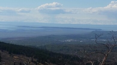 L1L2 Canyon Rd, Anchorage, AK 99516 - photo 5