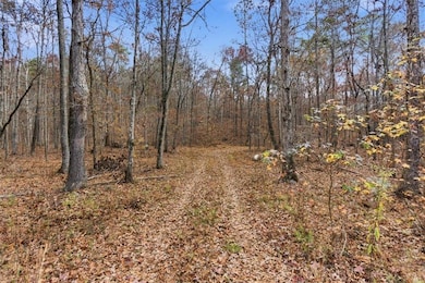 0 Flowery Branch Rd unit 7684237, Kingston, GA 30145 - photo 3