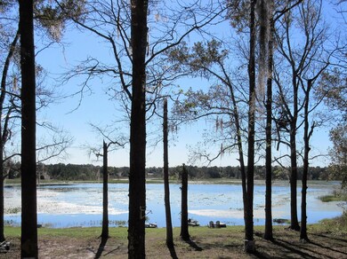 7182 Cr 315c, Keystone Heights, FL 32656 - photo 7