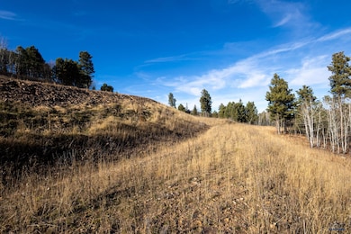 Lot 43 Noble Grand Loop, South Lawrence, SD 57785 - photo 4