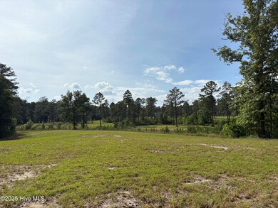 355 Fox Box Rd, Vass, NC 28394 - photo 7