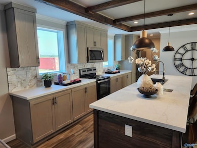 123 County Road 55, Rogersville, AL 35652 - photo 6