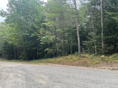 14 Fernalds Hill Way, Stow, ME 04037 - photo 2