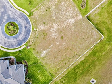 250 Amaryllis Way, Lake Alfred, FL 33850 - photo 5