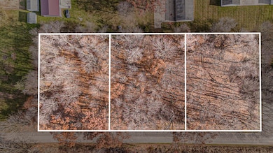 Lots 1-3 S Sherman St, Sheridan, MI 48884 - photo 3