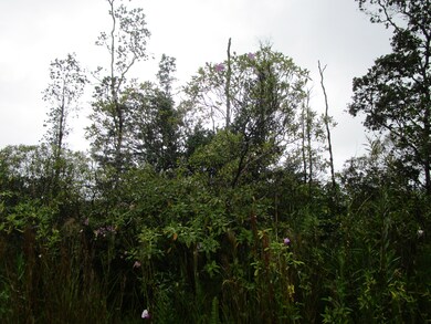 0 34th Ave unit 724056, Keaau, HI 96749 - photo 2