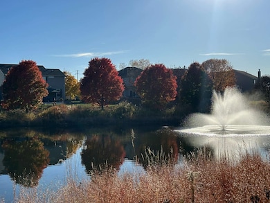 1103 Bayside Ln, Shorewood, IL 60404 - photo 3