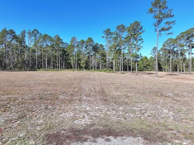 8311 N Coffee Rd, Hahira, GA - photo 3