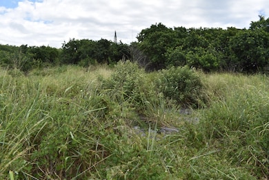 94-6374 Pele St, Naalehu, HI 96772 - photo 6