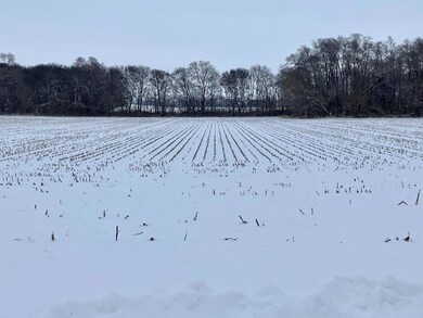 0 E 2nd St, Tampico, IL 61283 - photo 2