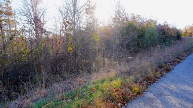 Commercial Land in MO7