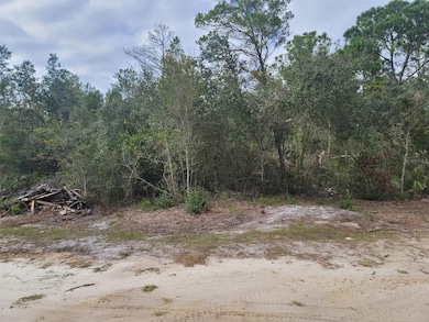 0 Cooter Pond Rd unit MFRO6155271, Deland, FL 32720 - photo 4