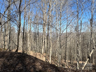 00 Beech Thicket Springs Rd unit 41, Bakersville, NC 28705 - photo 4