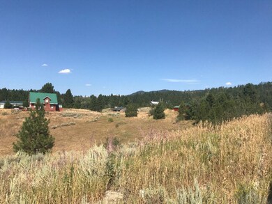 N.E. View