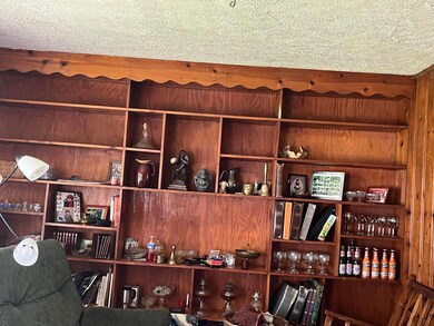 211 9th Street Extension, Watauga, TN 37694 - photo 4