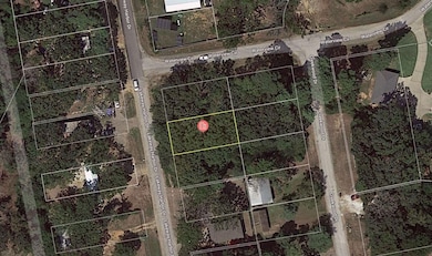 22647 Lakeway Harbor Dr, Flint, TX 75762 - photo 3