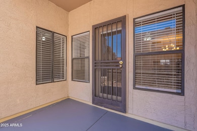 Back Patio