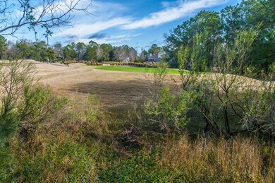_DSC1916