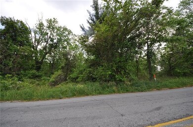 710 Duncan Hill Rd, Hendersonville, NC 28792 - photo 7