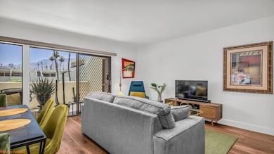 1655 E Palm Canyon Dr unit 202, Palm Springs, CA 92264 - photo 5